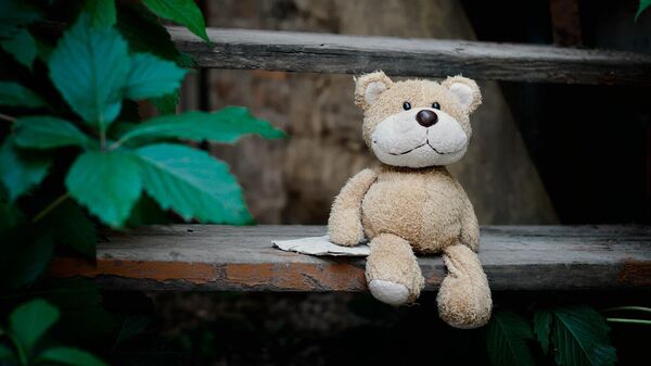Плюшевый медведь, архивное фото - Sputnik Литва