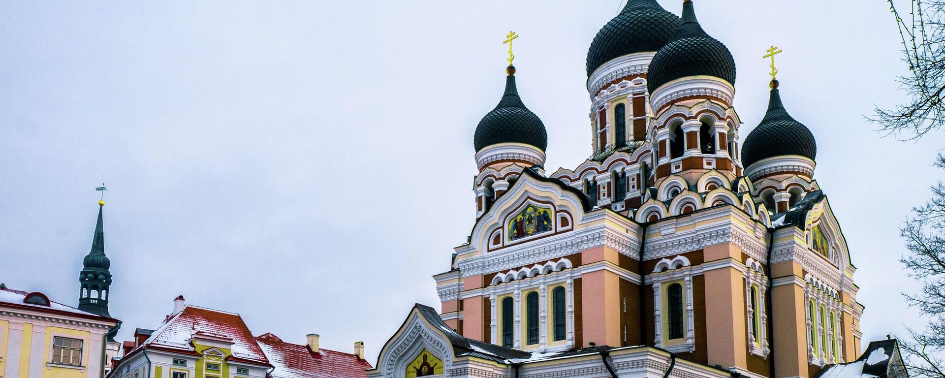 Александро-Невский кафедральный собор в Таллине, архивное фото - Sputnik Литва, 1920, 14.04.2024