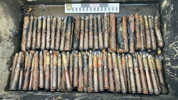 Литовские саперы нашли боеприпасы в акватории Клайпедского порта - Sputnik Литва