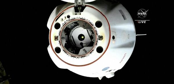 Erdvėlaivis &quot;SpaceX Dragon Endurance&quot;, atsijungęs nuo priekinio &quot;Harmony&quot; modulio prievado. - Sputnik Lietuva