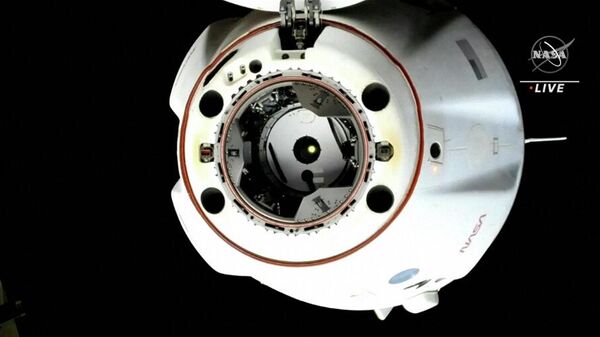 Erdvėlaivis SpaceX Dragon Endurance, atsijungęs nuo priekinio Harmony modulio prievado - Sputnik Lietuva