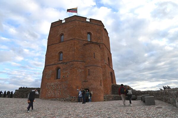 Башня Гедиминаса также вызвала интерес у посетителей. Музей, расположенный в самой башне, принимал гостей в этот день. - Sputnik Литва