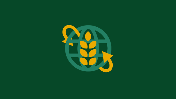 Мировой рынок пшеницы: крупнейшие поставщики и покупатели - Sputnik Литва