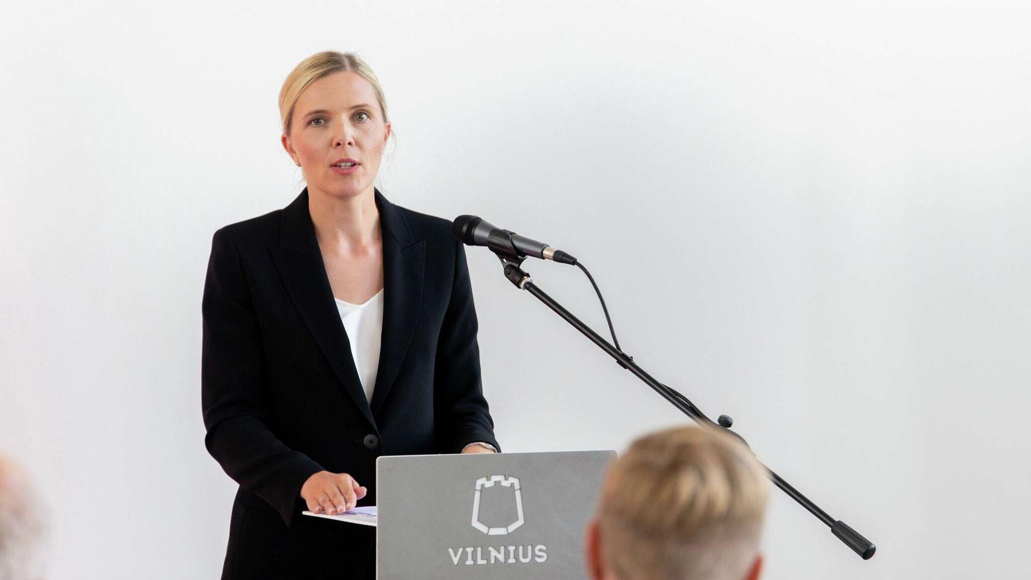 Глава МВД рассказала, сколько еще украинцев может принять Литва 