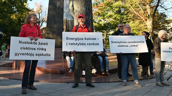 Митинг по поводу цен на электричество в Вильнюсе - Sputnik Литва