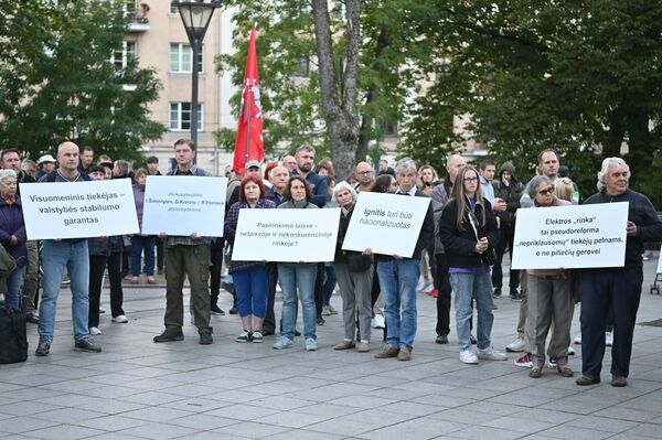 На фото: участники митинга  против высоких цен на электричество. - Sputnik Литва