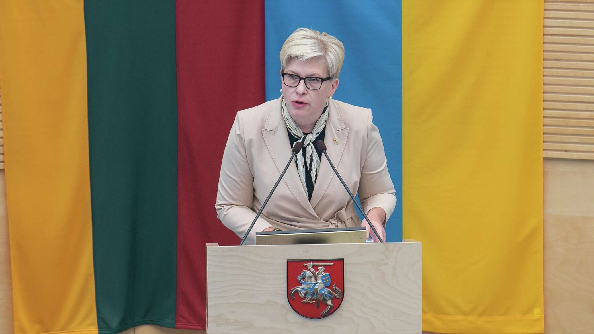 премьер министр литвы