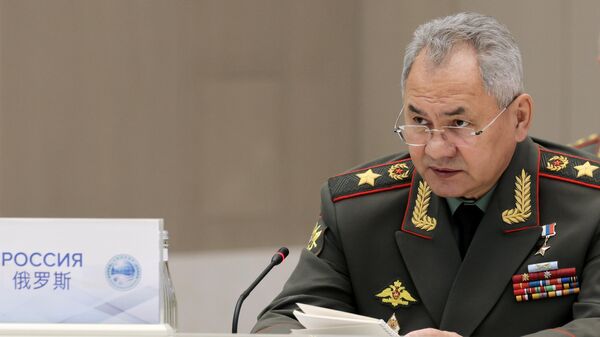 Министр обороны РФ Сергей Шойгу - Sputnik Литва