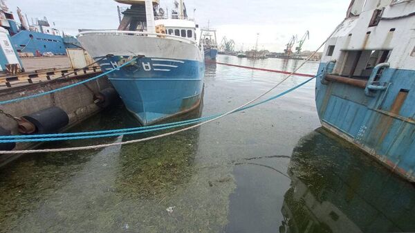 Загрязнение нефтепродуктами в Клайпедском порту - Sputnik Литва
