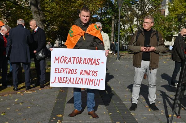 На фото: &quot;Мораторий на &quot;либерализацию&quot; рынка электрической энергии.  - Sputnik Литва