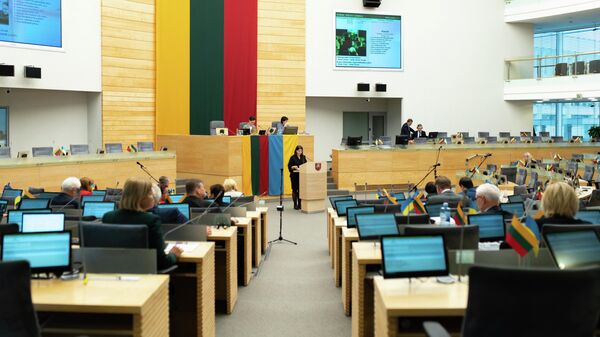 Министр финансов Литвы Гинтаре Скайсте во время выступление в Сейме - Sputnik Литва