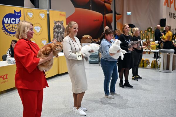 В Вильнюсе 15-16 октября в новом комплексе Vilnius Outlet с аншлагом проходила международная выставка кошек. - Sputnik Литва