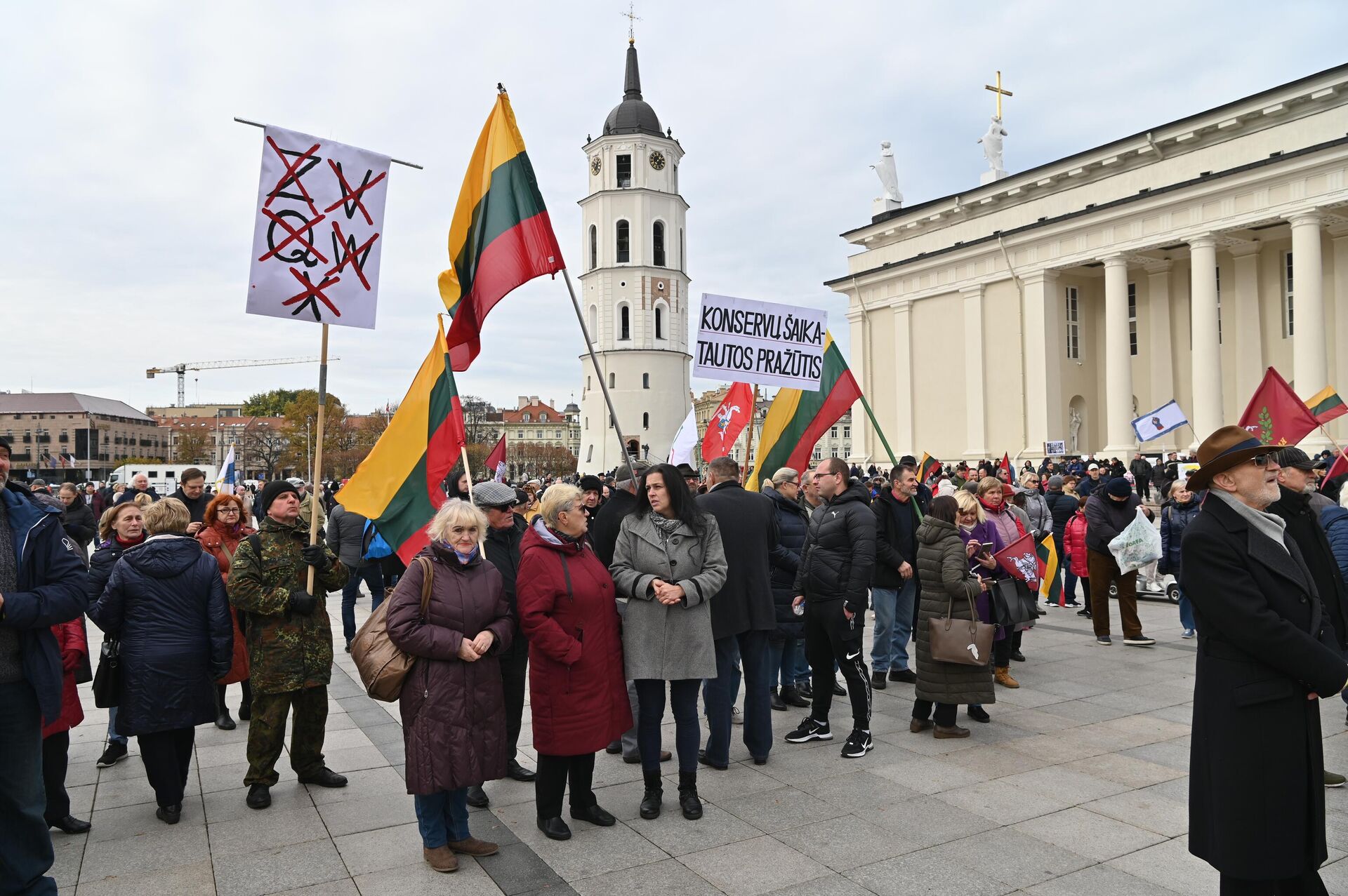 Митинг Движения семей Литвы в защиту Конституции в центре Вильнюса - Sputnik Литва, 1920, 22.10.2022