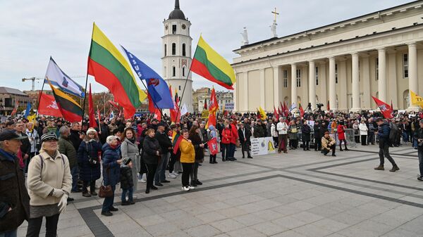 Митинг Движения семей Литвы в защиту Конституции в центре Вильнюса - Sputnik Литва