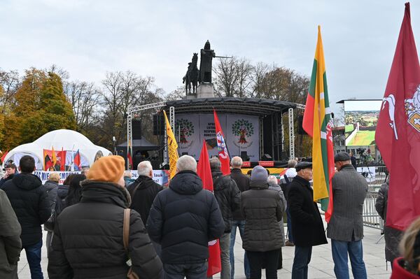 Митинг Движения семей Литвы в защиту Конституции в центре Вильнюса - Sputnik Литва