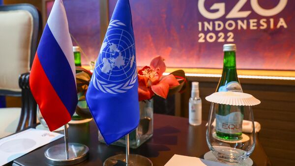 Саммит G20 на Бали - Sputnik Литва