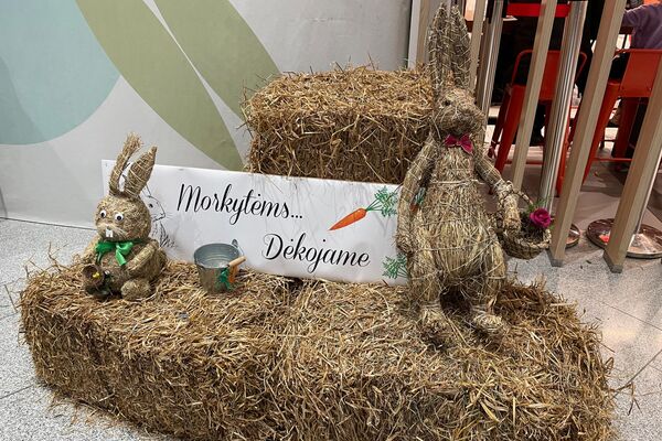 Инсталляция на международной выставке кроликов. - Sputnik Литва