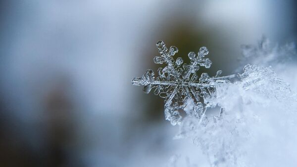 Снежинка, архивное фото - Sputnik Литва