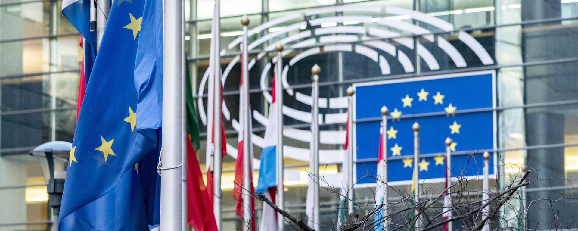 Флаги стран Евросоюза у здания Европарламента в Брюсселе, архивное фото - Sputnik Литва, 1920, 16.12.2022