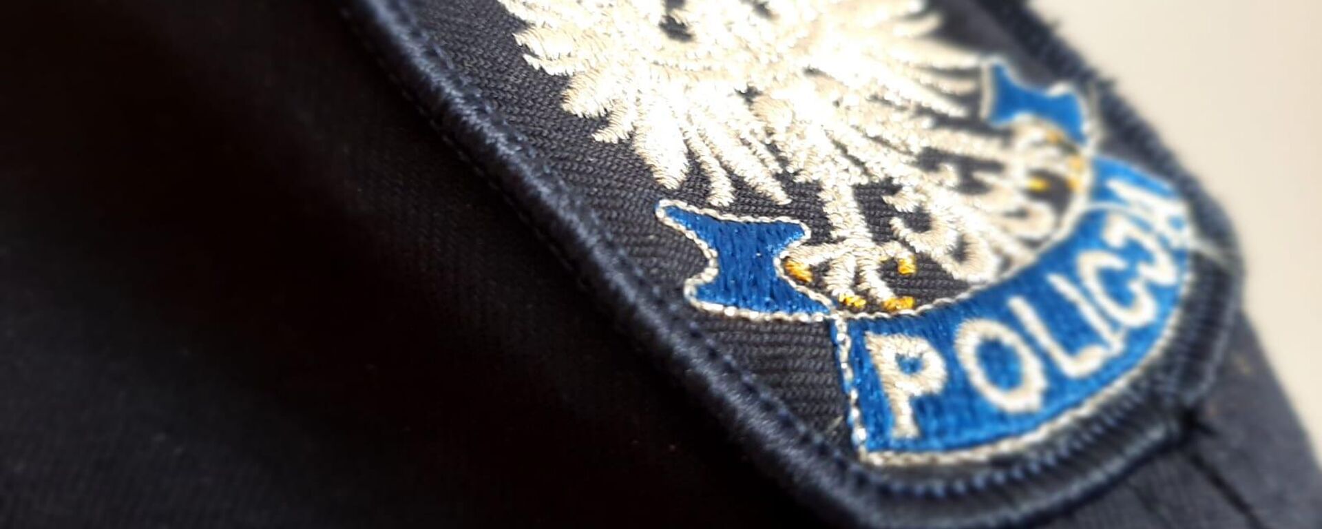 Польская полиция, архивное фото - Sputnik Литва, 1920, 24.02.2026