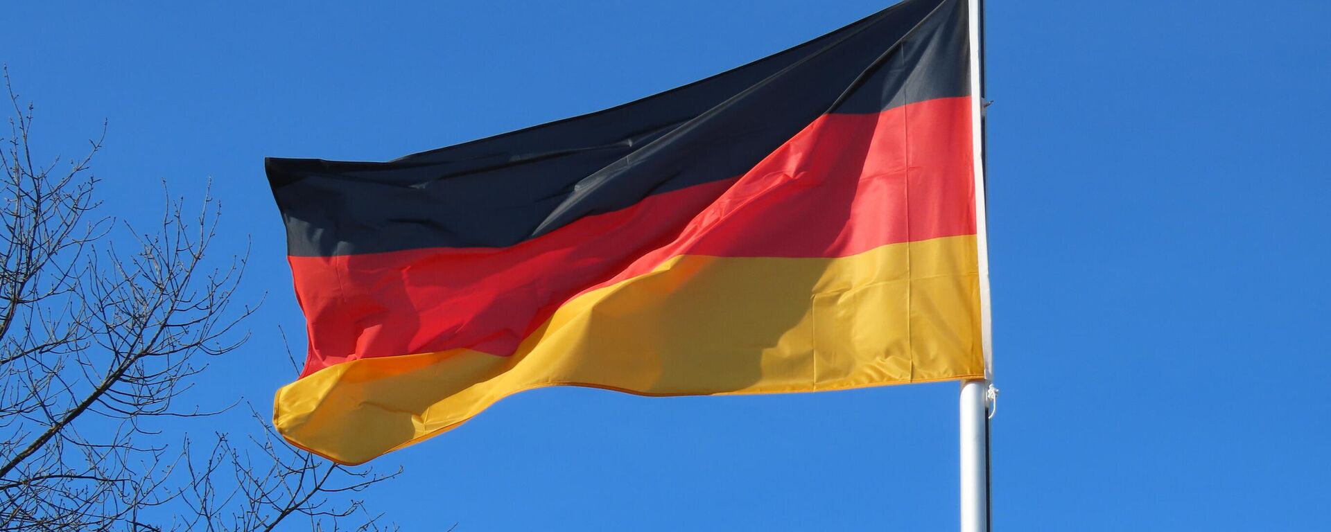 Флаг Германии, архивное фото  - Sputnik Литва, 1920, 18.01.2026