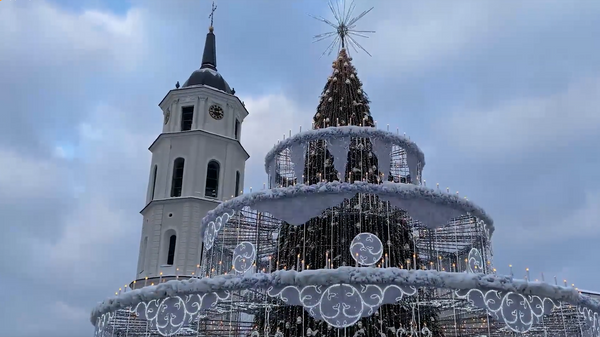 В форме торта: как выглядит главная елка в Вильнюсе  - Sputnik Литва
