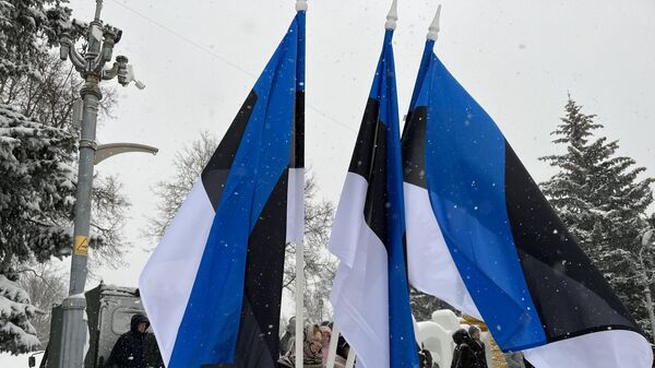 Флаги Эстонии, архивное фото - Sputnik Литва