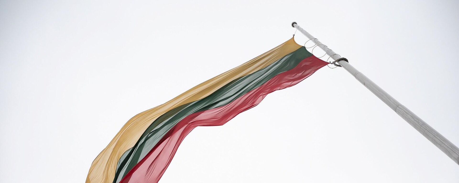 Флаг Литвы, архивное фото - Sputnik Литва, 1920, 17.02.2023