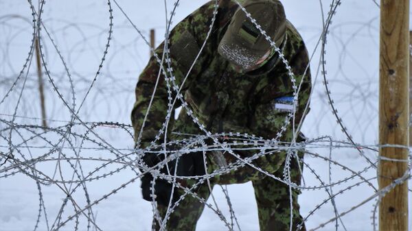 Граница Эстонии и России, архивное фото - Sputnik Литва