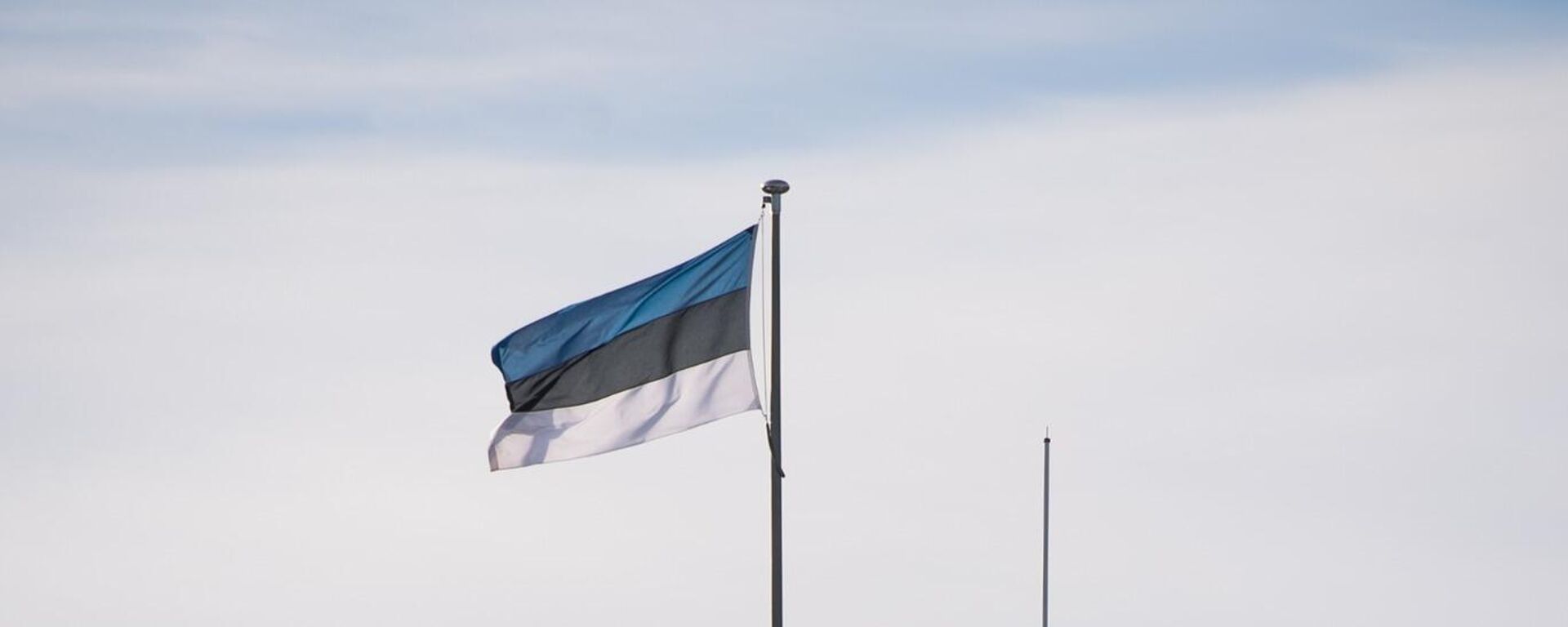 Флаг Эстонии, архивное фото - Sputnik Литва, 1920, 19.05.2023
