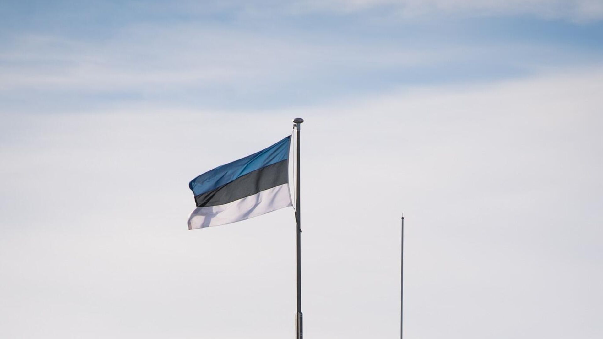 Флаг Эстонии, архивное фото - Sputnik Литва, 1920, 16.01.2024