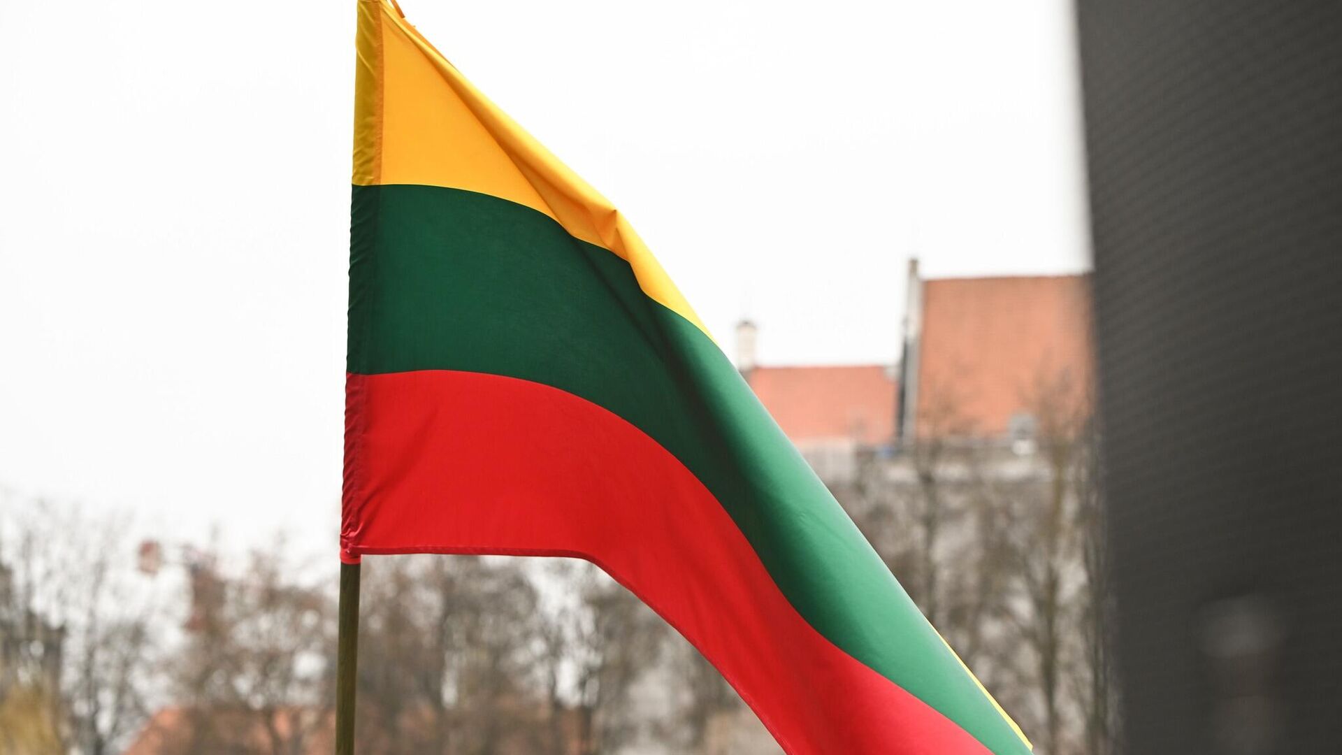 Флаг Литвы, архивное фото - Sputnik Литва, 1920, 06.03.2023