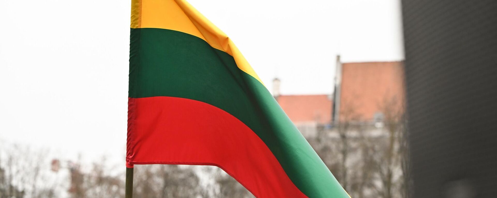 Флаг Литвы, архивное фото - Sputnik Литва, 1920, 06.03.2023