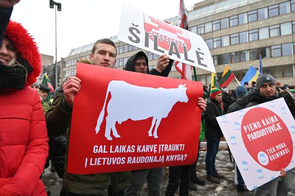 На фото: участник акции протеста в руках держит плакат с надписью &quot;Может пришло время включить корову в Красную книгу Литвы?&quot; - Sputnik Литва