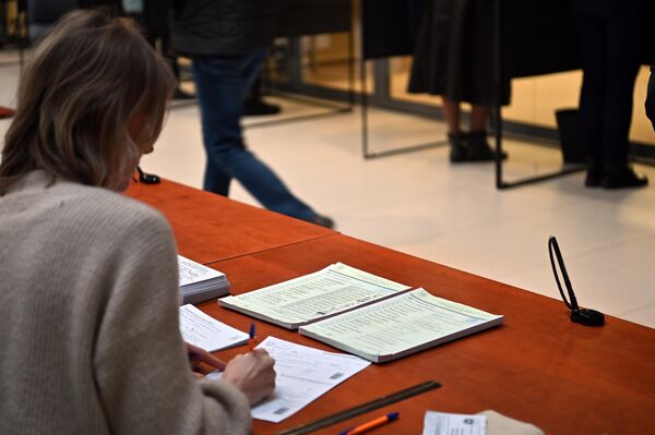 Досрочное голосование доступно для тех, кто не может прийти на избирательные участки в официальный день по уважительным причинам. - Sputnik Литва