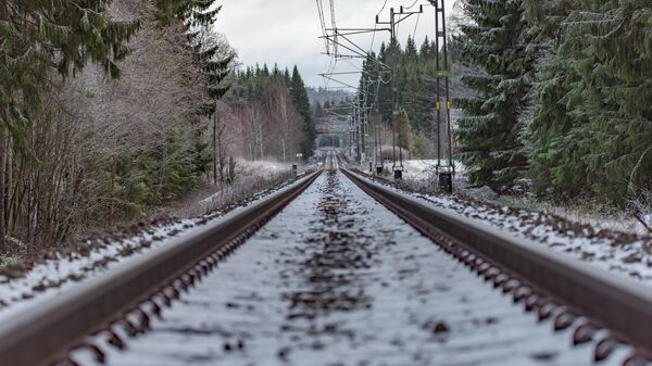 Железнодорожные пути - Sputnik Литва