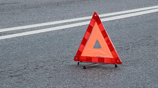Предупреждающий красный треугольник на дороге - Sputnik Литва