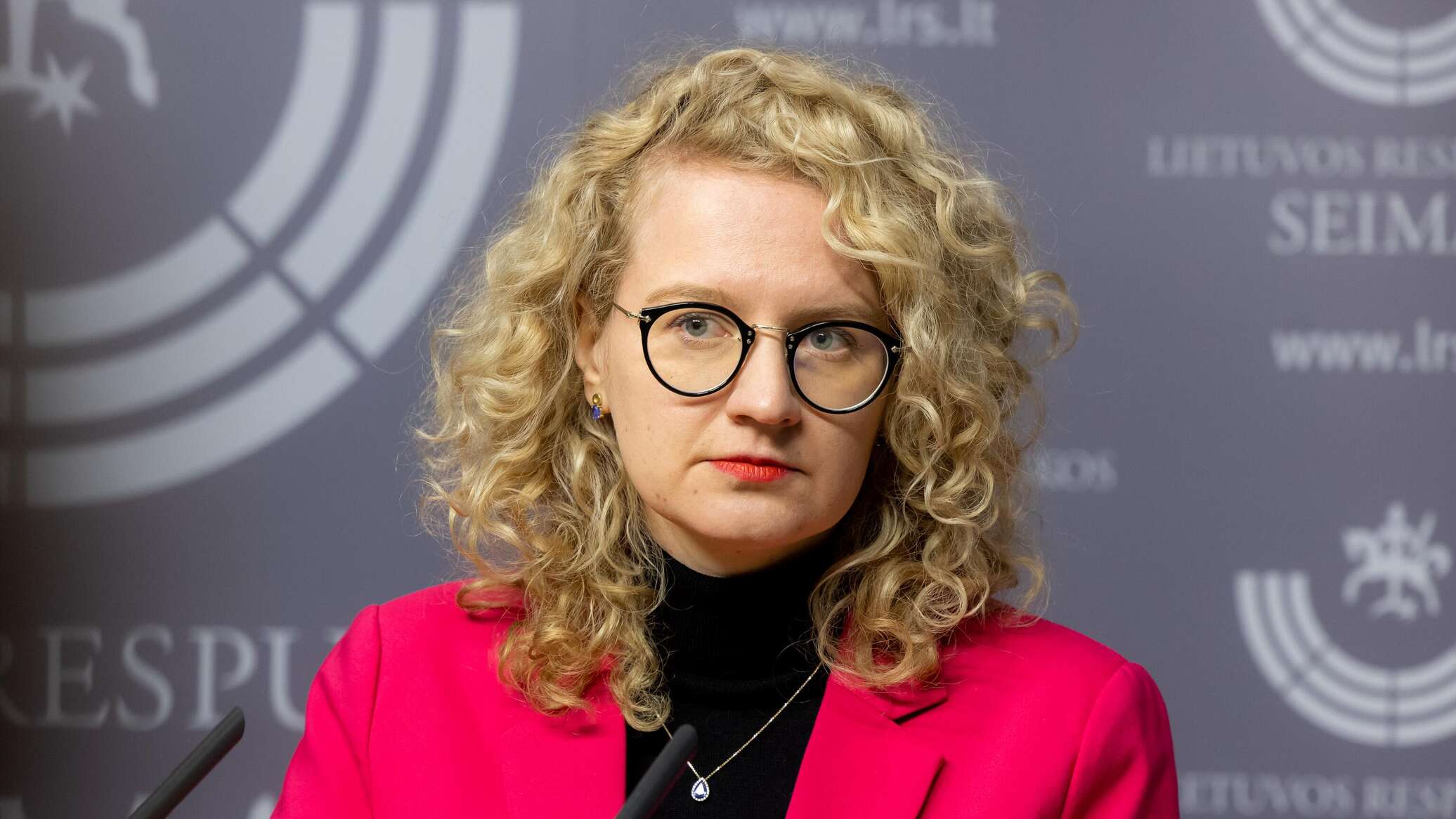 Литва отправляет Киеву неиспытанную военную продукцию, признали в ...