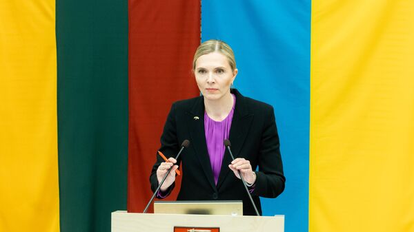 Министр внутренних дел Литвы Агне Билотайте - Sputnik Литва