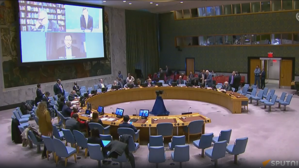 Совбез ООН провел заседание об угрозах международному миру и безопасности - Sputnik Литва