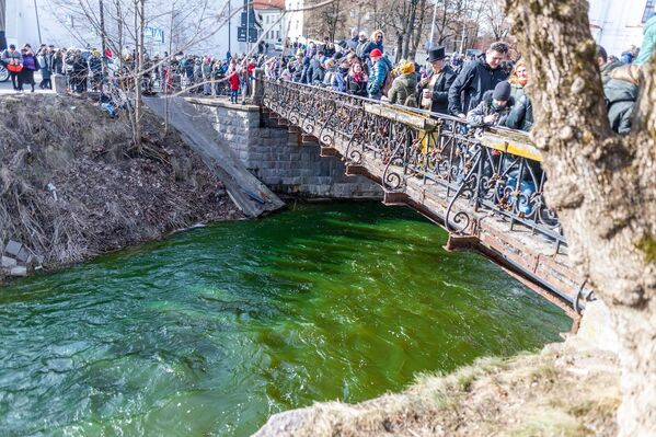 По традиции реку Вильняле окрасили в зеленый цвет. - Sputnik Литва