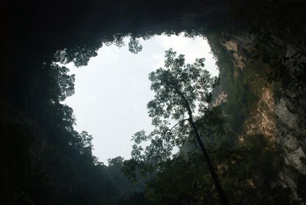 На фото: лес пещеры Шондонг, Вьетнам. Эта пещера считается самой большой в мире.Местным жителям о ней было известно с 1991 года, а в 2009-м ее обнаружила группа британских спелеологов. В некоторых местах пещеры растут трава и деревья. Также там есть подземная река, которая затапливает некоторые части пещеры в сезон дождей. - Sputnik Литва