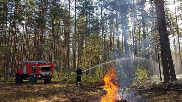 Литовский пожарный тушит огонь, архивное фото - Sputnik Литва