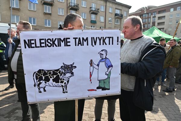 На фото: участник акции держит плакат с надписью &quot;Не позволим этому произойти!&quot; - Sputnik Литва