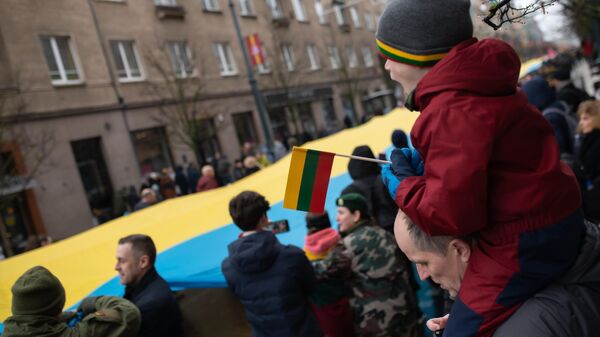 Ребенок с флагом Литвы в руке, архивное фото - Sputnik Литва