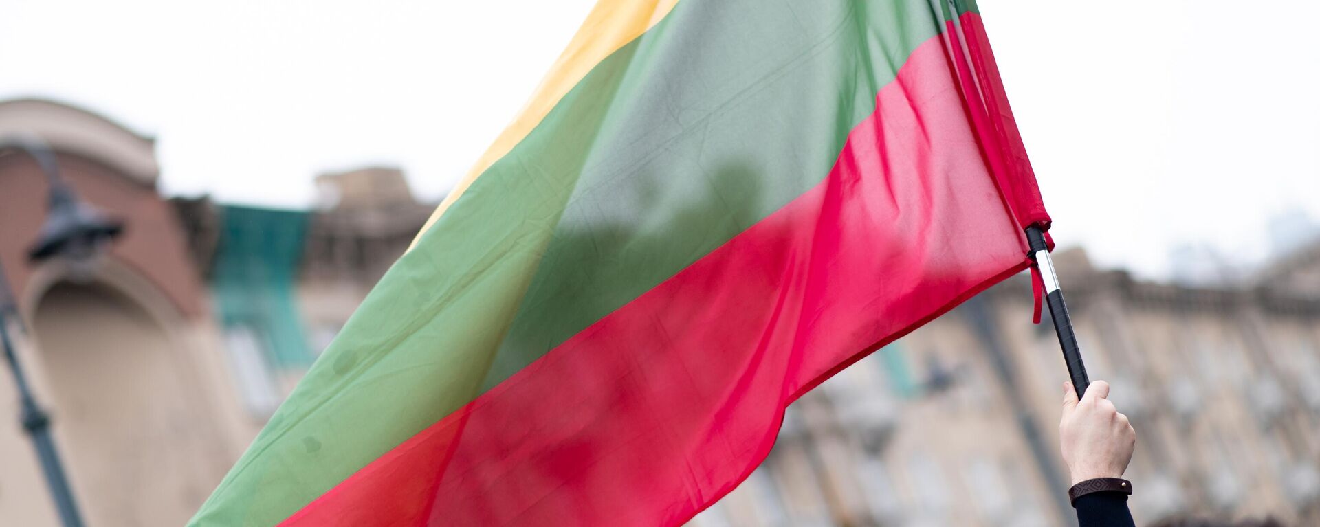 Флаг Литвы, архивное фото - Sputnik Литва, 1920, 21.04.2023