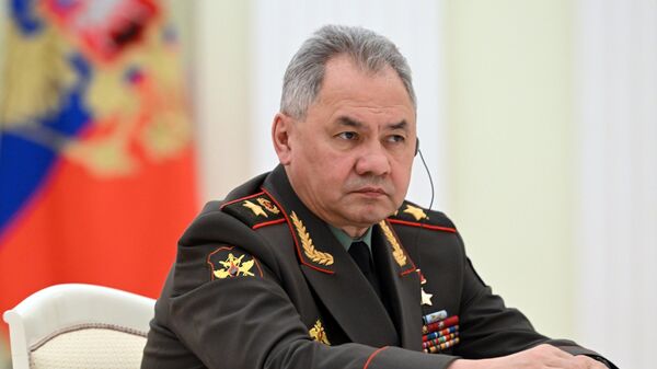 Министр обороны РФ Сергей Шойгу, архивное фото - Sputnik Литва