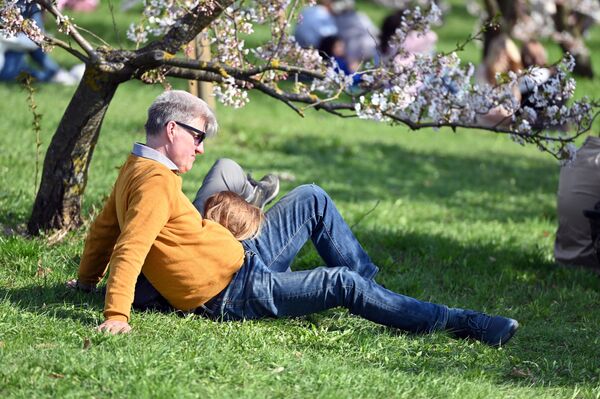 Многие жители Вильнюса с удовольствием устраивают пикники под цветущими деревьями. - Sputnik Литва