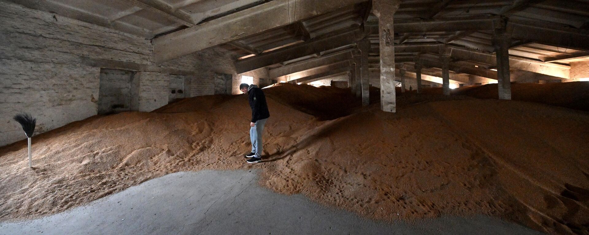 Мужчина осматривает непроданное зерно на складе своего хозяйства в Киевской области - Sputnik Литва, 1920, 22.04.2023