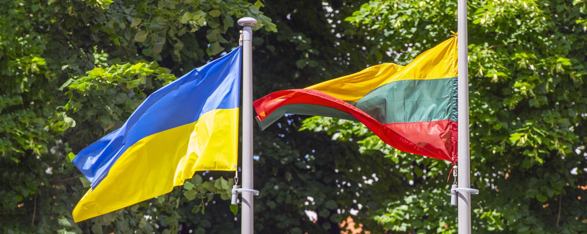 Флаг Украина и Литвы - Sputnik Литва, 1920, 15.06.2023